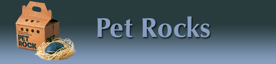 top banner